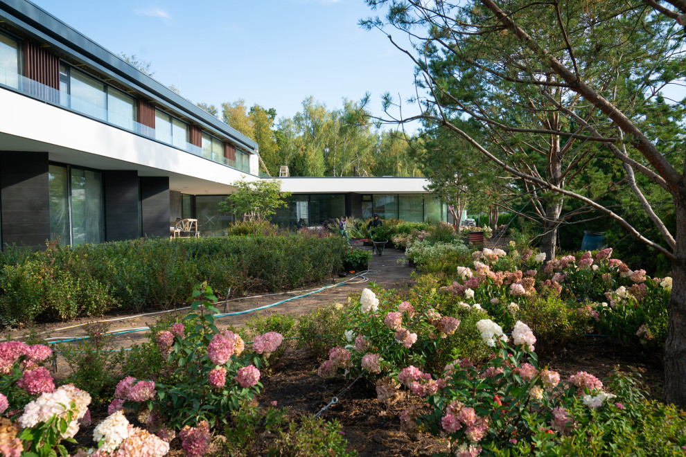 Антоновка. 30 соток. 2023 г.