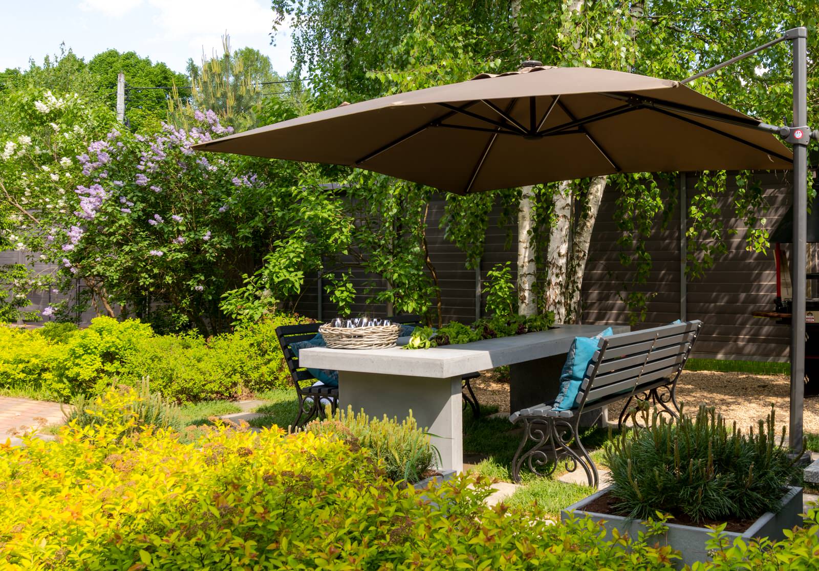 Беседка и терраса для Дмитрия Крылова. Первый Канал "На дачу! С Наташей Барбье"