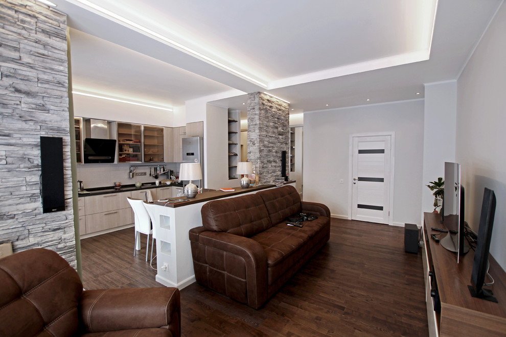 Гостиная и кухня