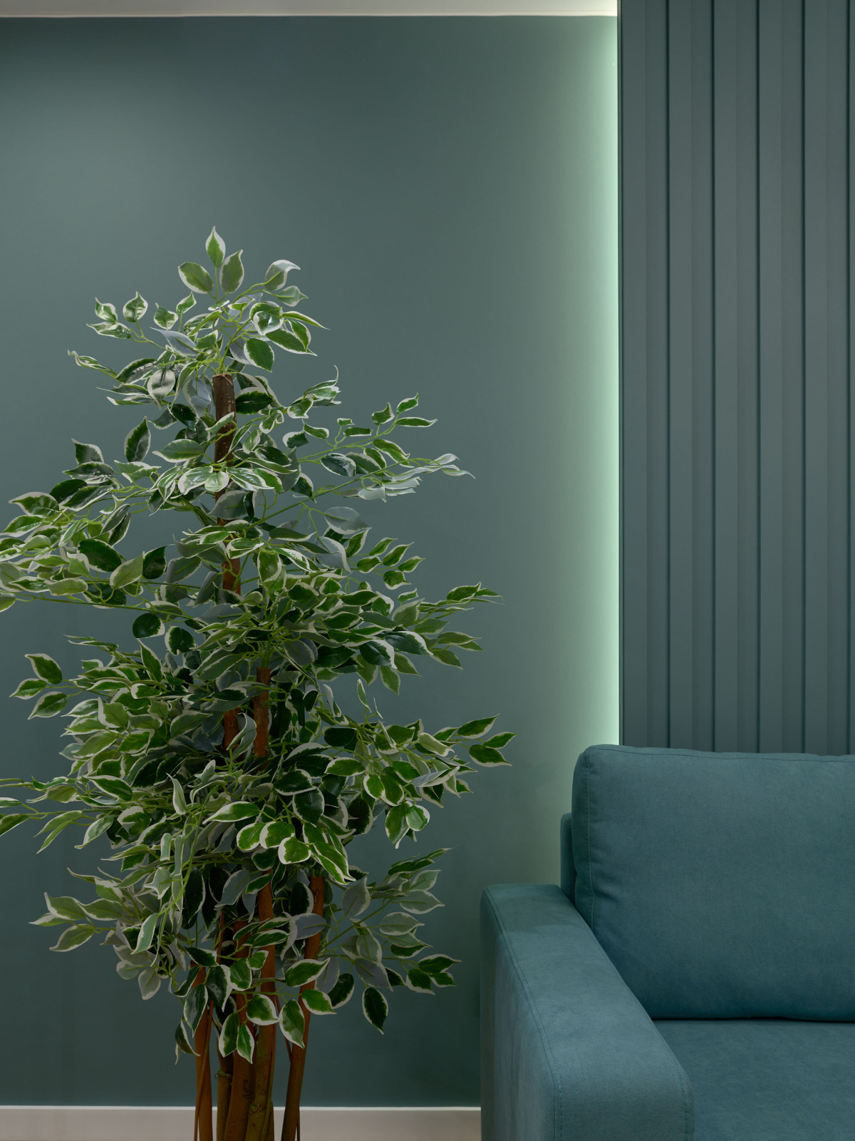 Томск, ул. Белинского.