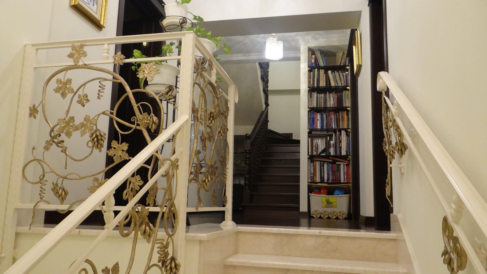 Светлогорье