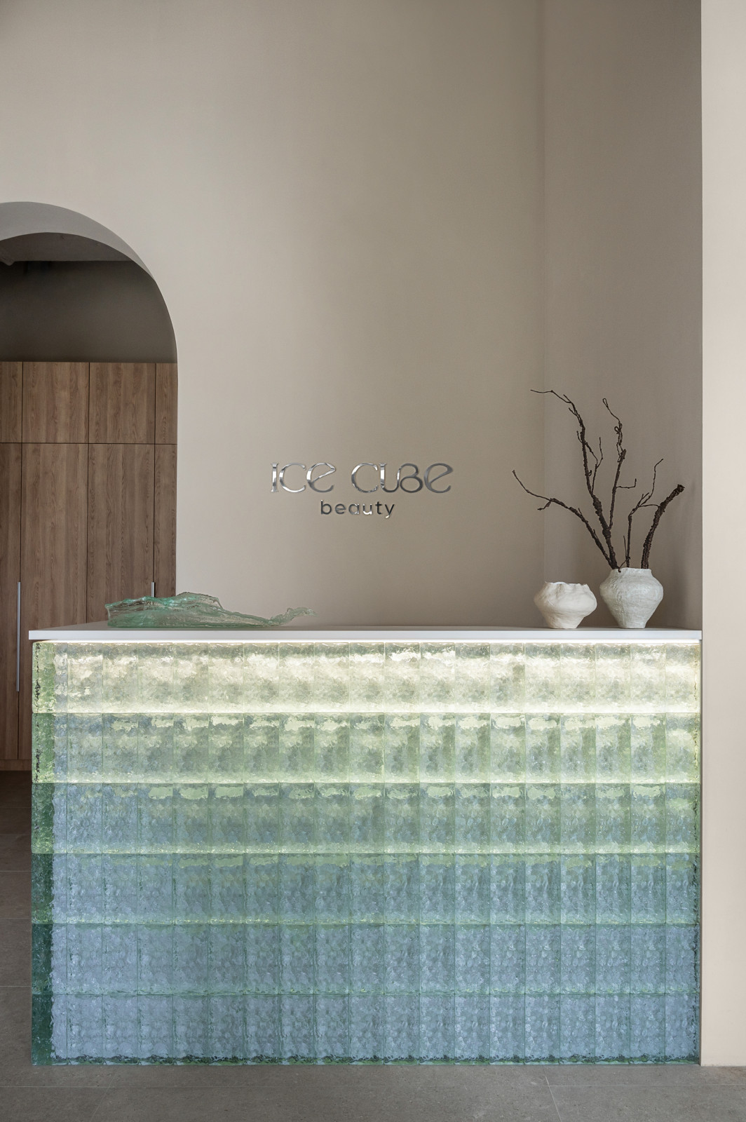 Обложка проекта: Ice cube