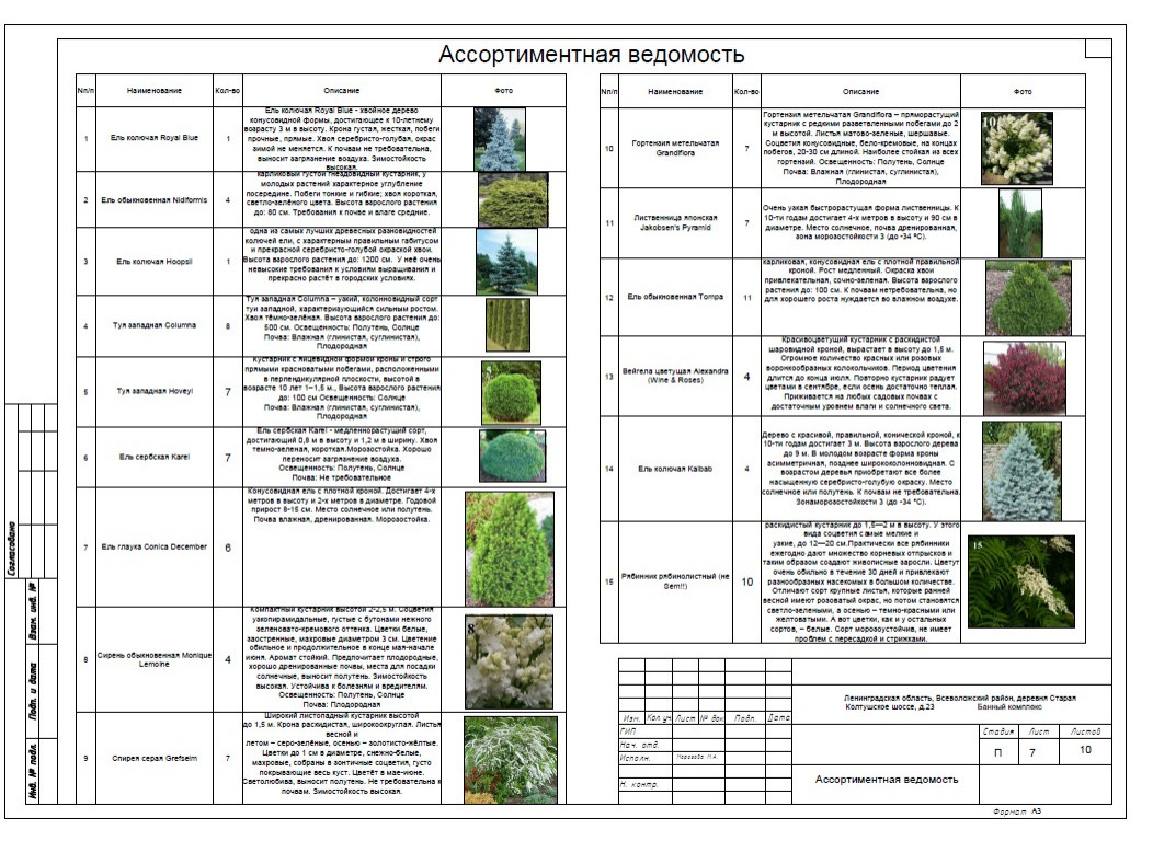 Деревня Старая. Банный комплекс