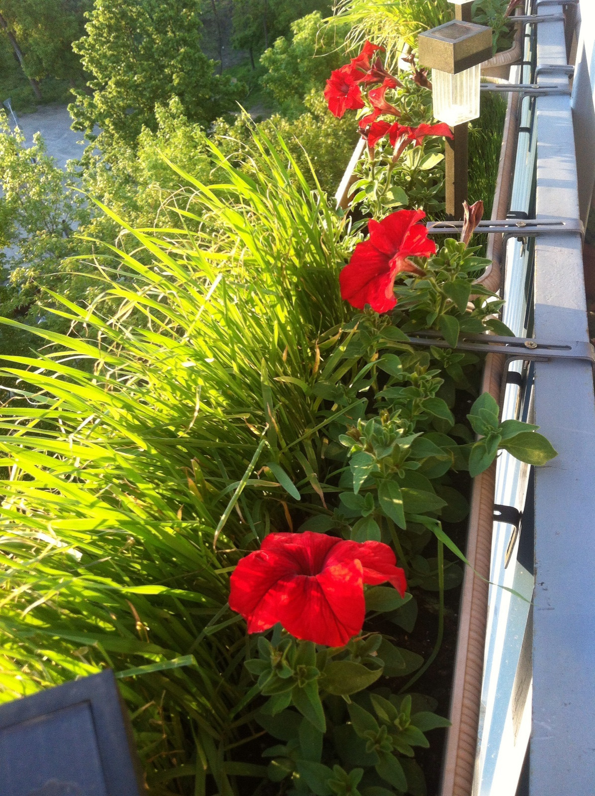 Жанна Юнусова