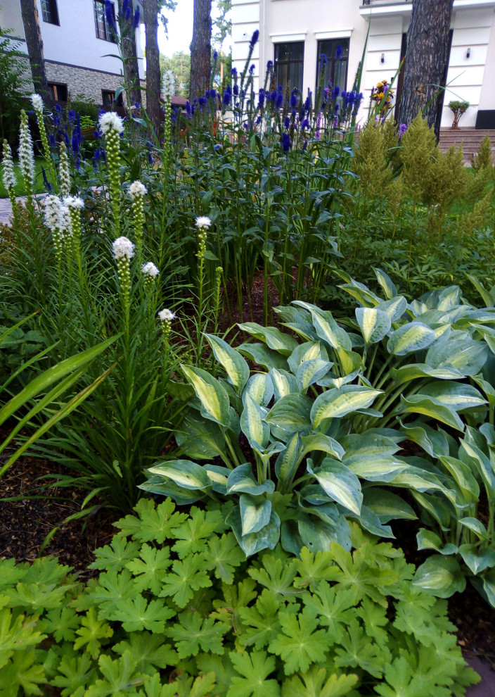 Цветники под пологом леса