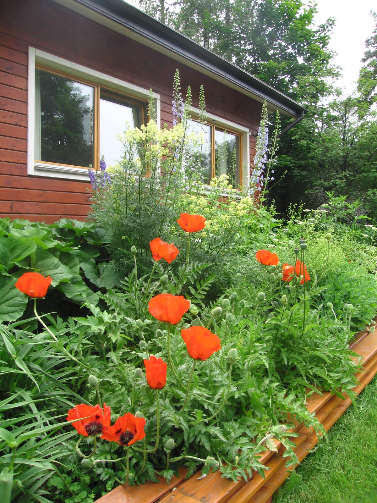 Спасибо Малевичу (в стиле супрематизма)