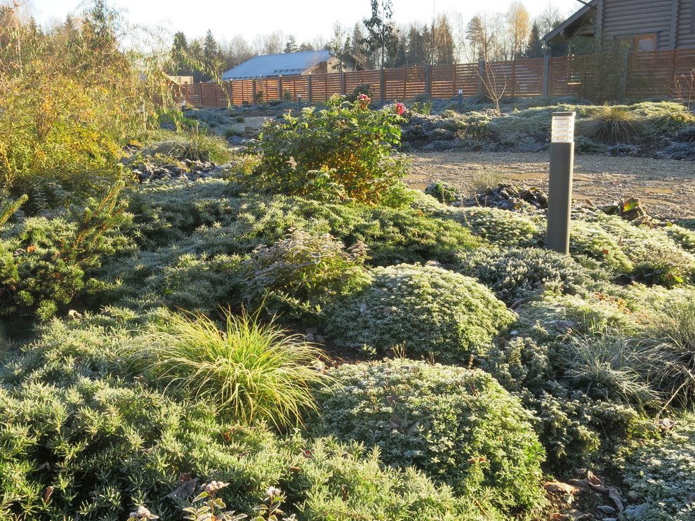 ЯГОДНОЕ ЛУКОШКО. СЕЗОН 2016. ПРЕДЗИМЬЕ. ПЕРВЫЕ ЗАМОРОЗКИ.