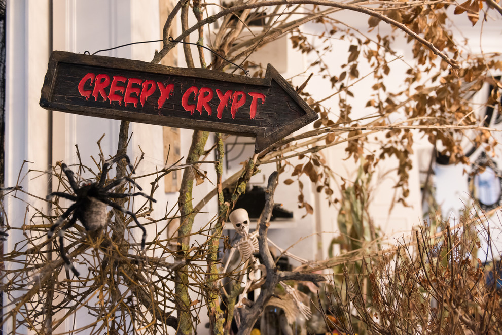 Houzz Германия: Шоу ужасов в одной готической квартире перед Хеллоуином