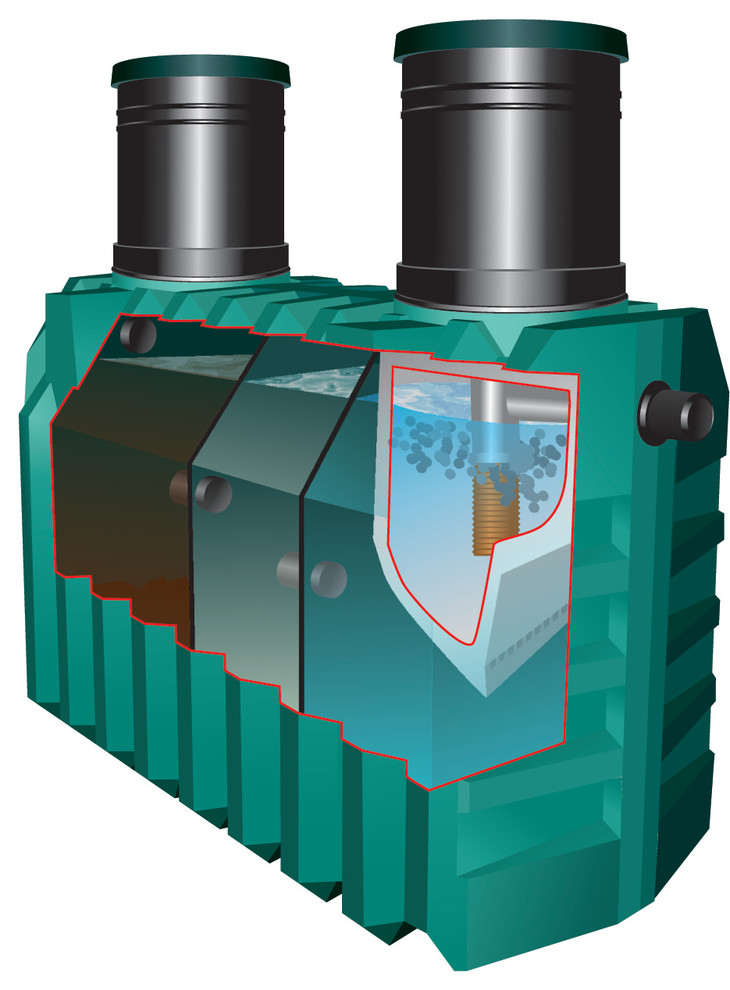 Татьяна Гронская