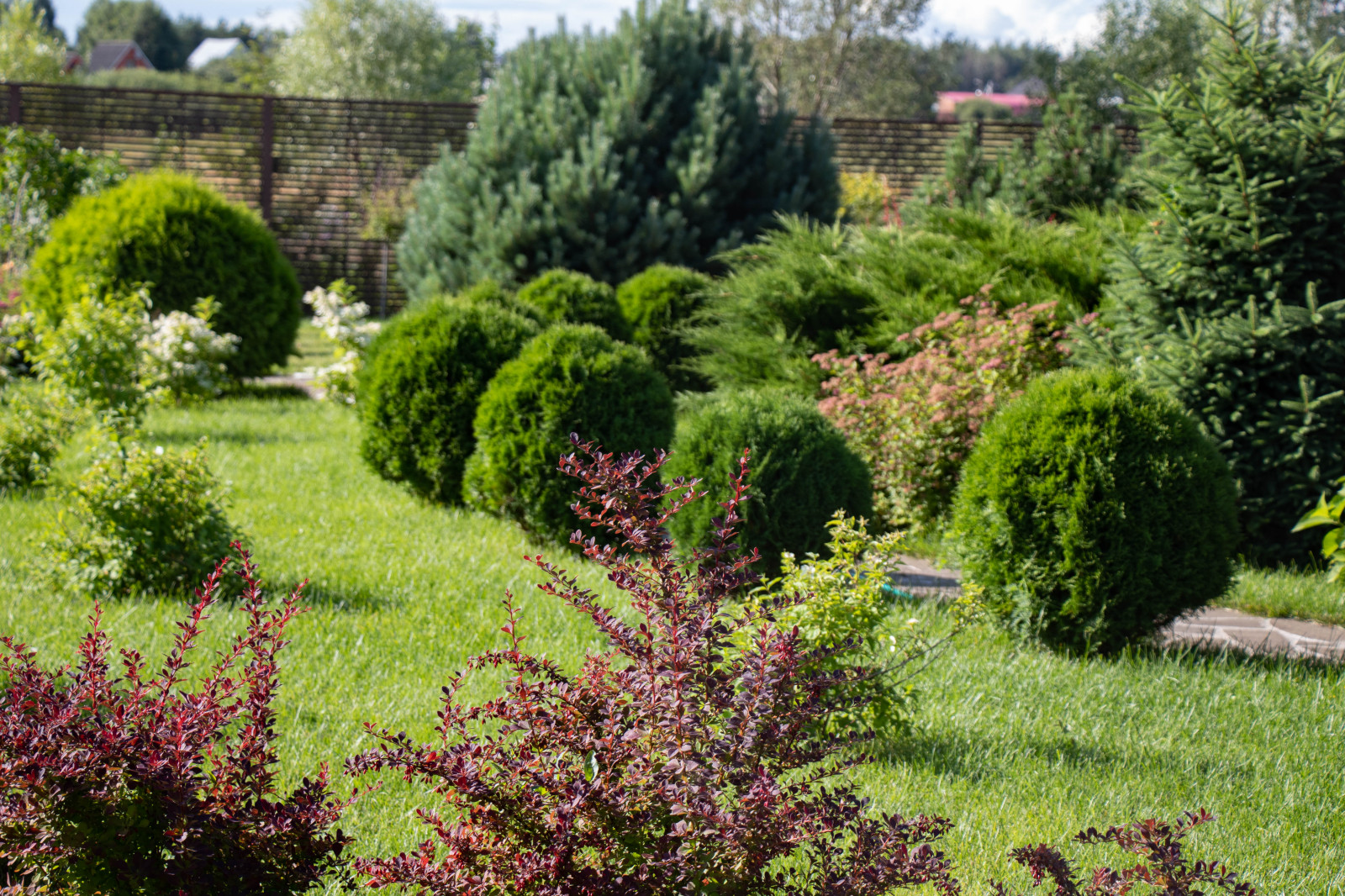 Сосновые берега