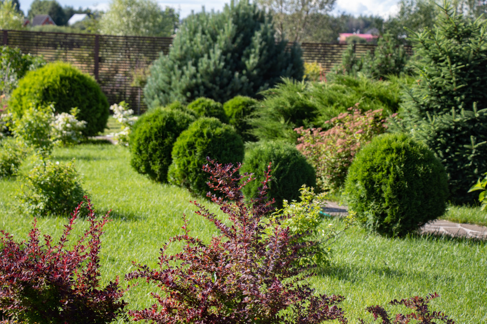 Сосновые берега