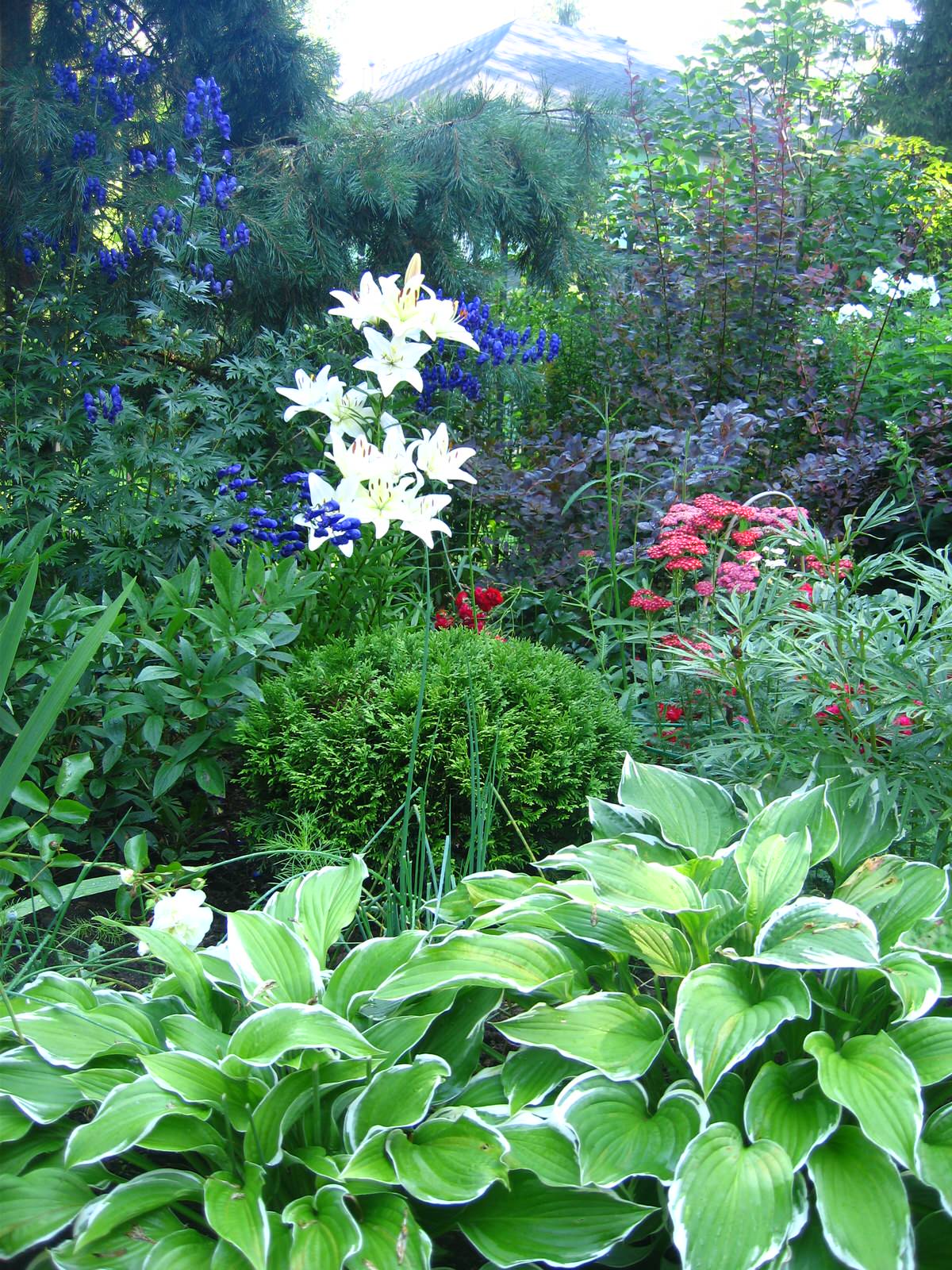 Надежный причал