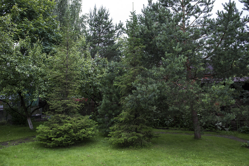 В гостях: Сад в идеальной форме... круга