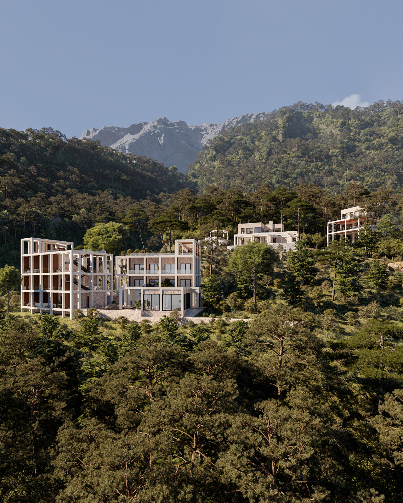 Обложка проекта: Hotel Caliza. Проект гостиницы в Симеизе в Крыму