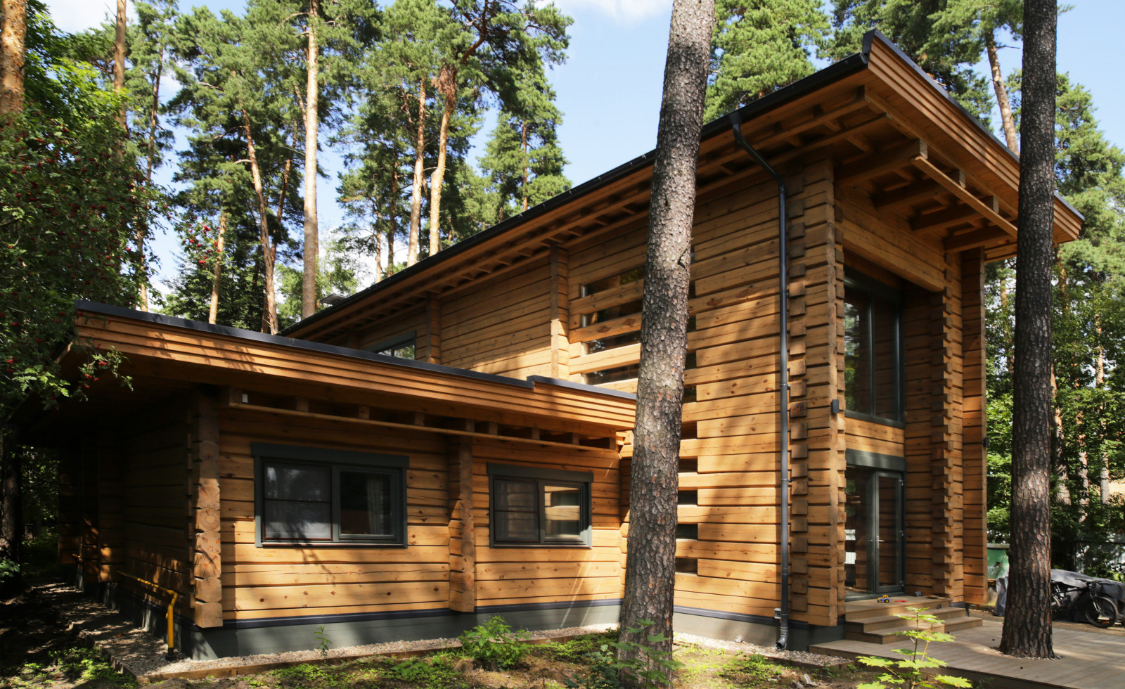 Обложка проекта: Дом в сосновом лесу