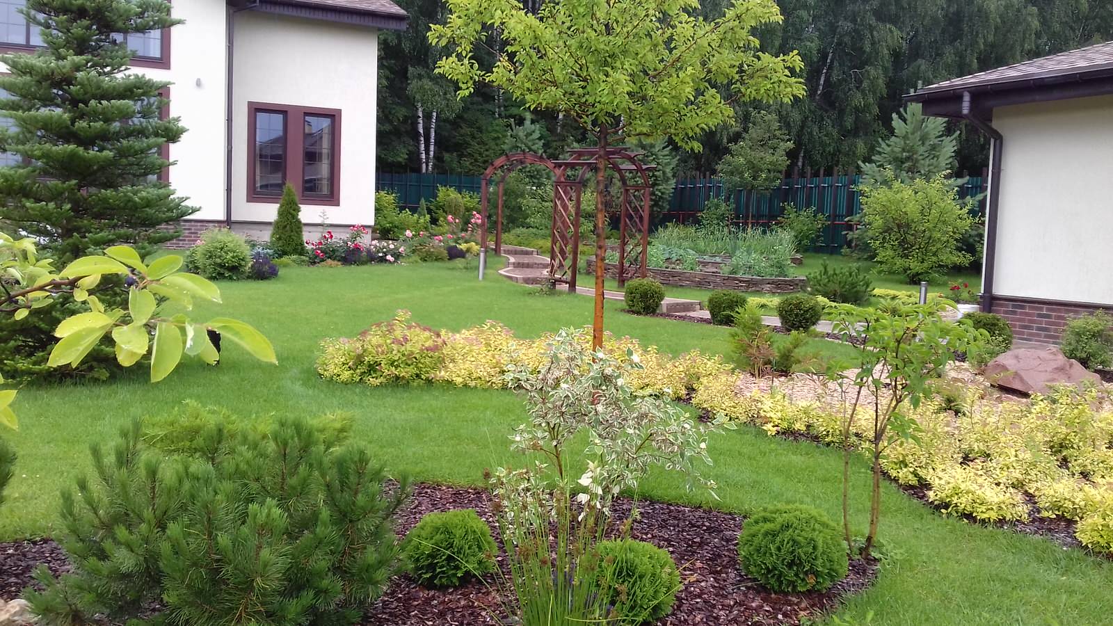 Дизайн участка: "Солнечный Сад". Красота и радость.