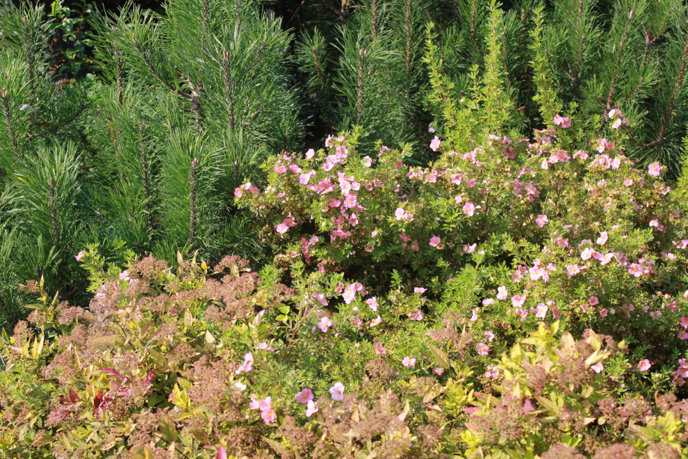 В гостях у Сказки