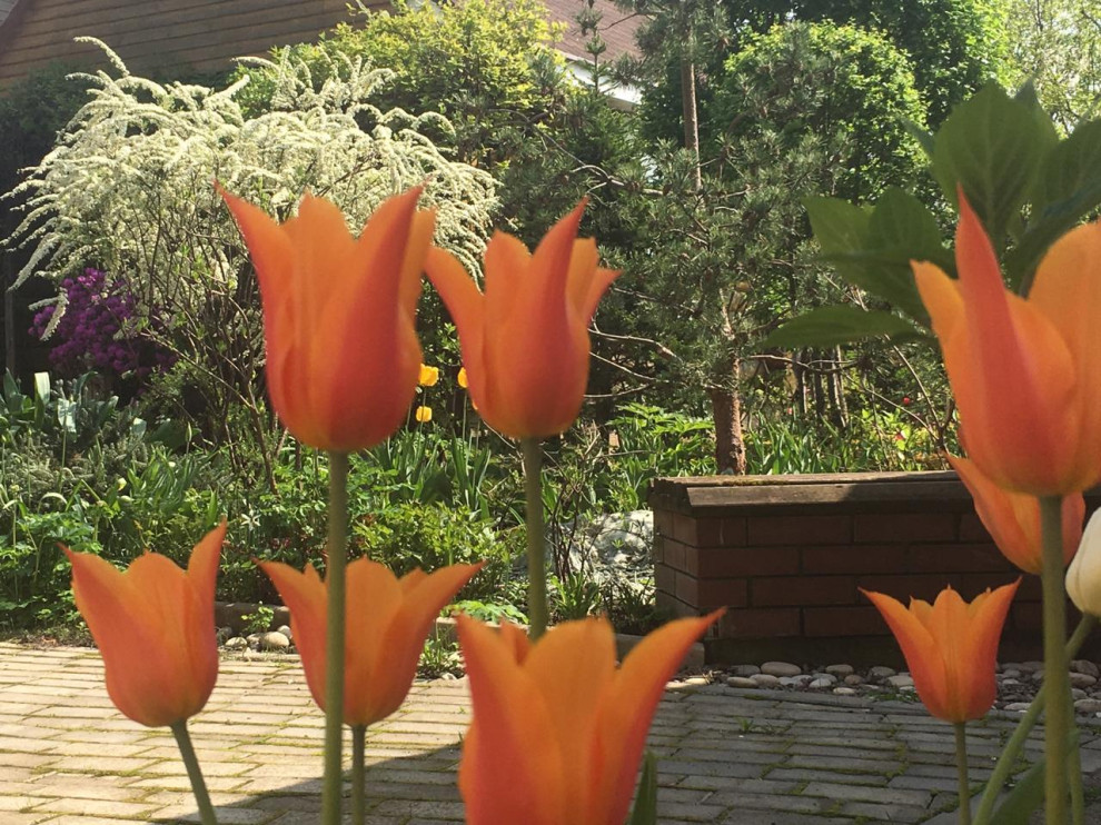 Преображение