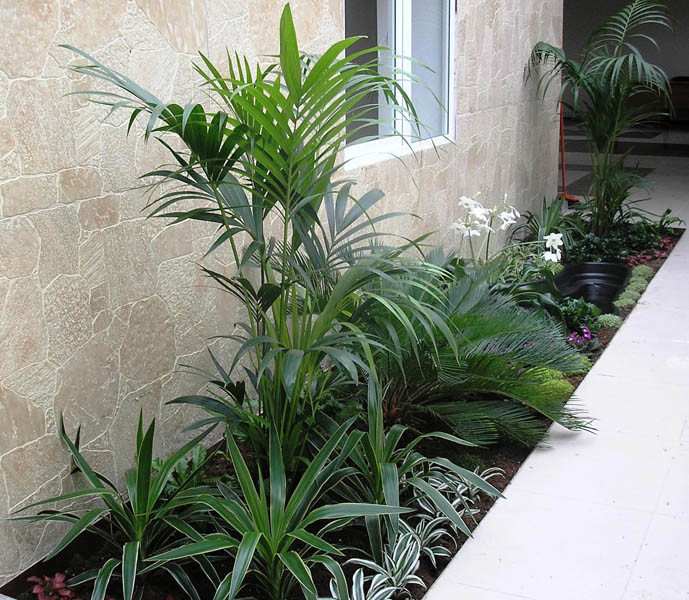 Озеленение интерьера