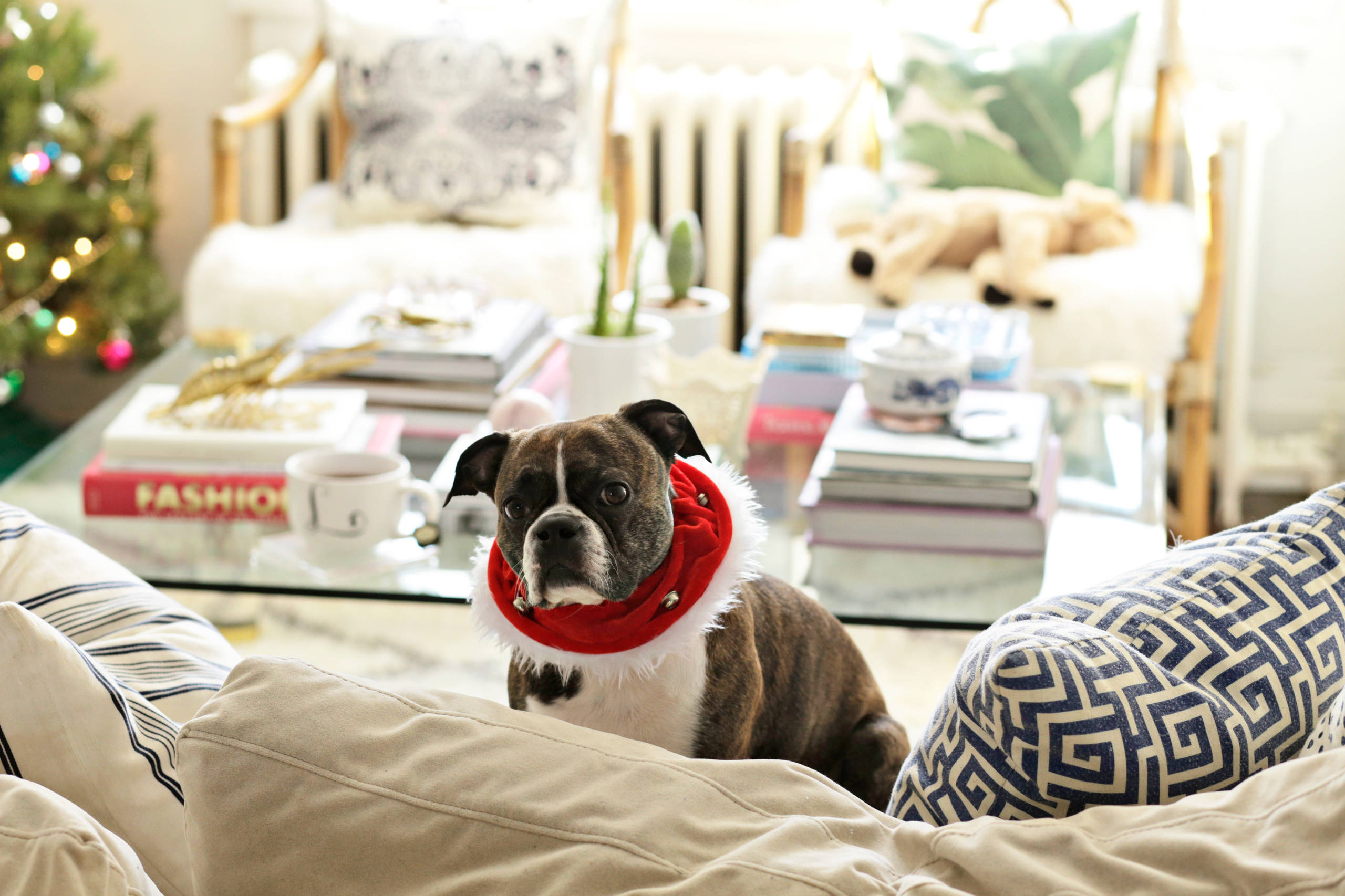 Новогодние традиции, которые стоит позаимствовать