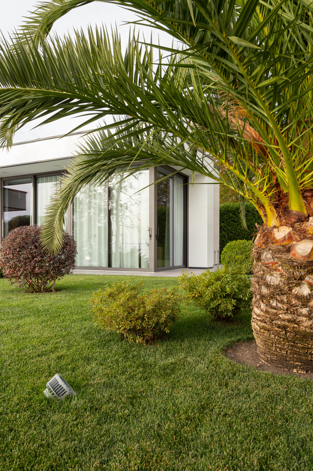 Лазурный Берег Сочи