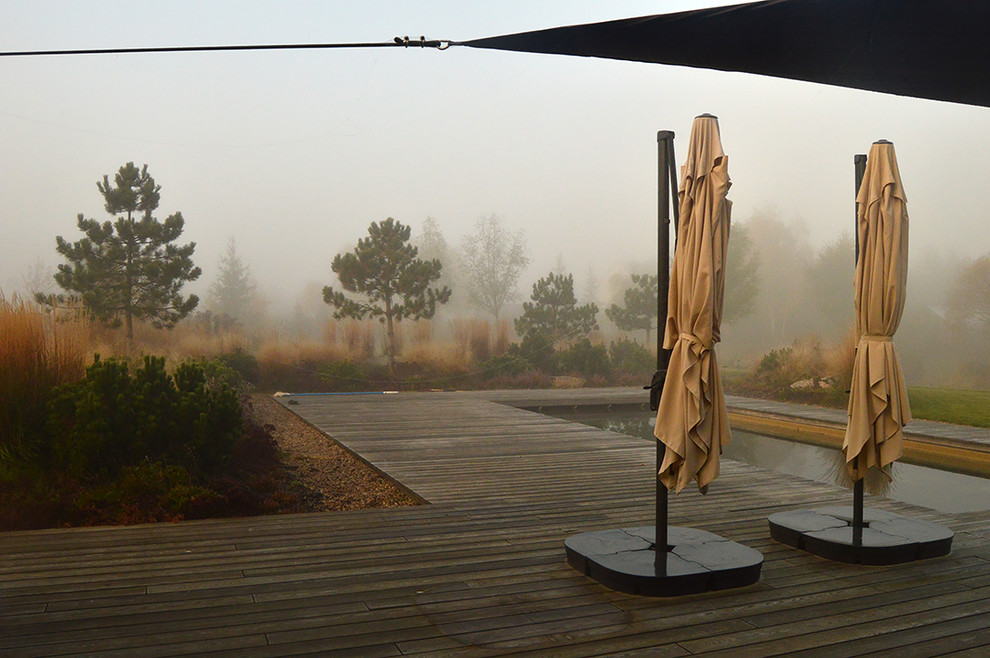 Houzz Белоруссия: Сад в тумане