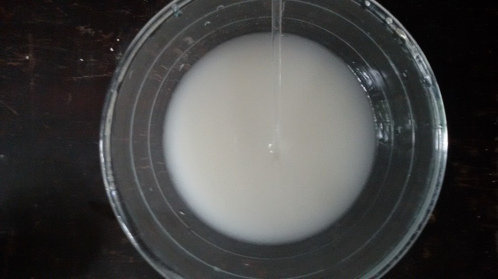 Своими руками: Гипсовые цветы для праздничной сервировки