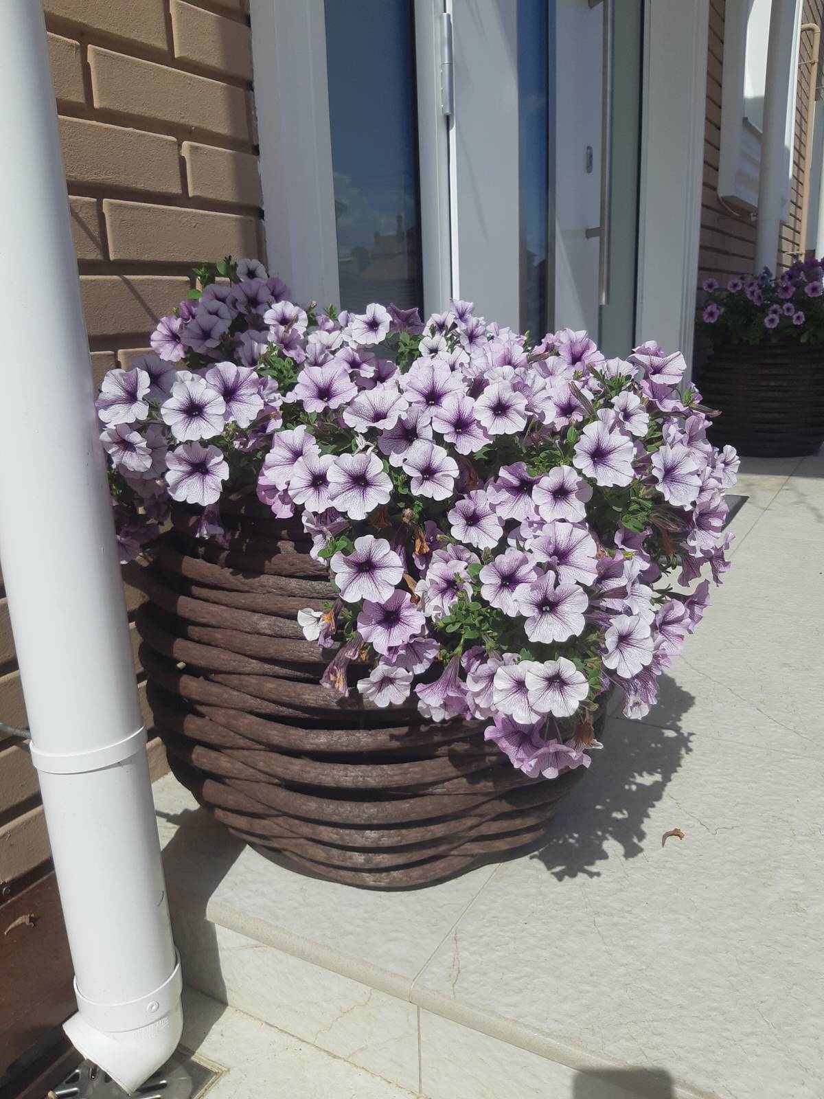 Серебрянный бор - 3