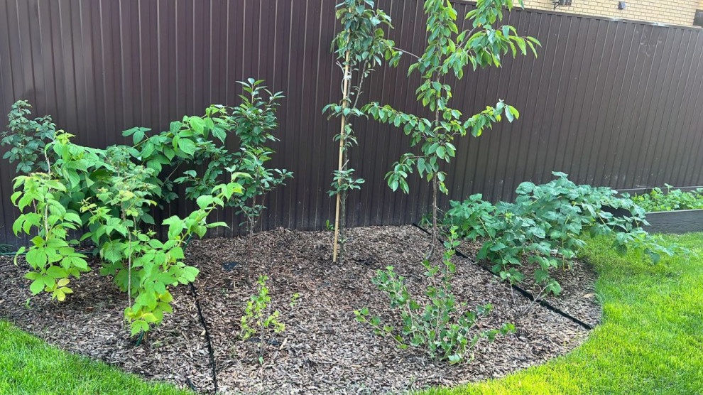 Летняя квартира (п. Удельная)