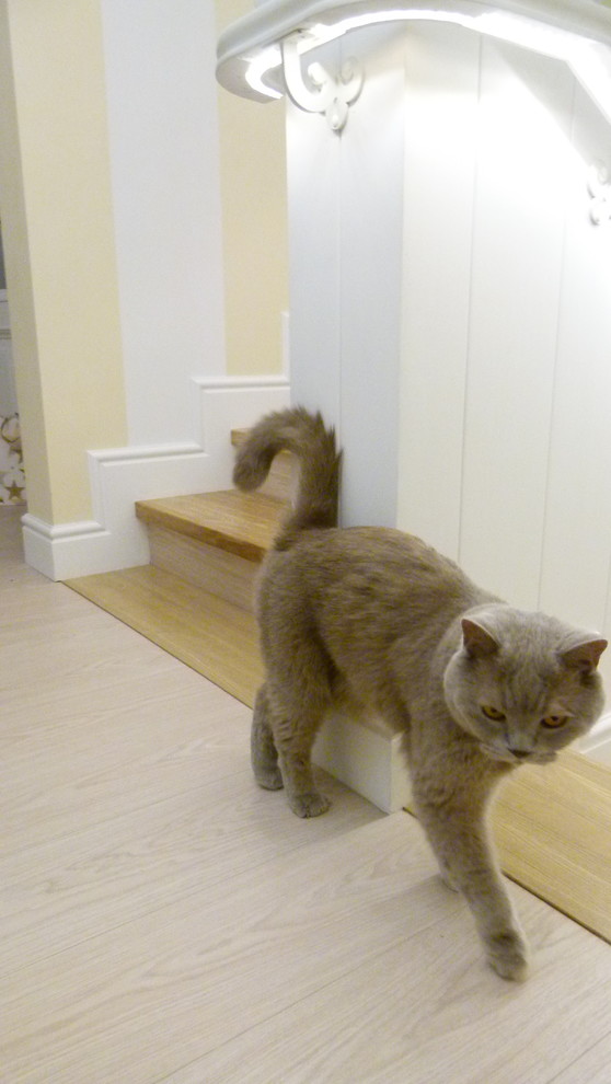 Обложка проекта: ЖК Амазонка