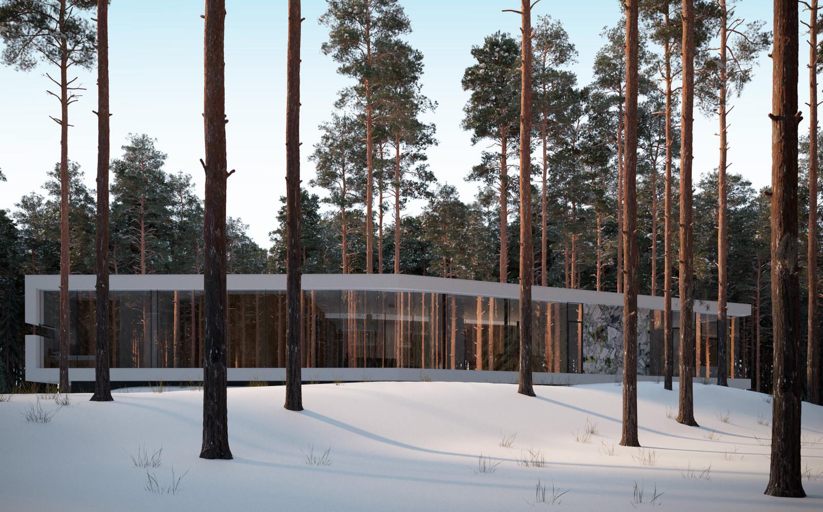 Обложка проекта: Дом в поселке Вартемяги