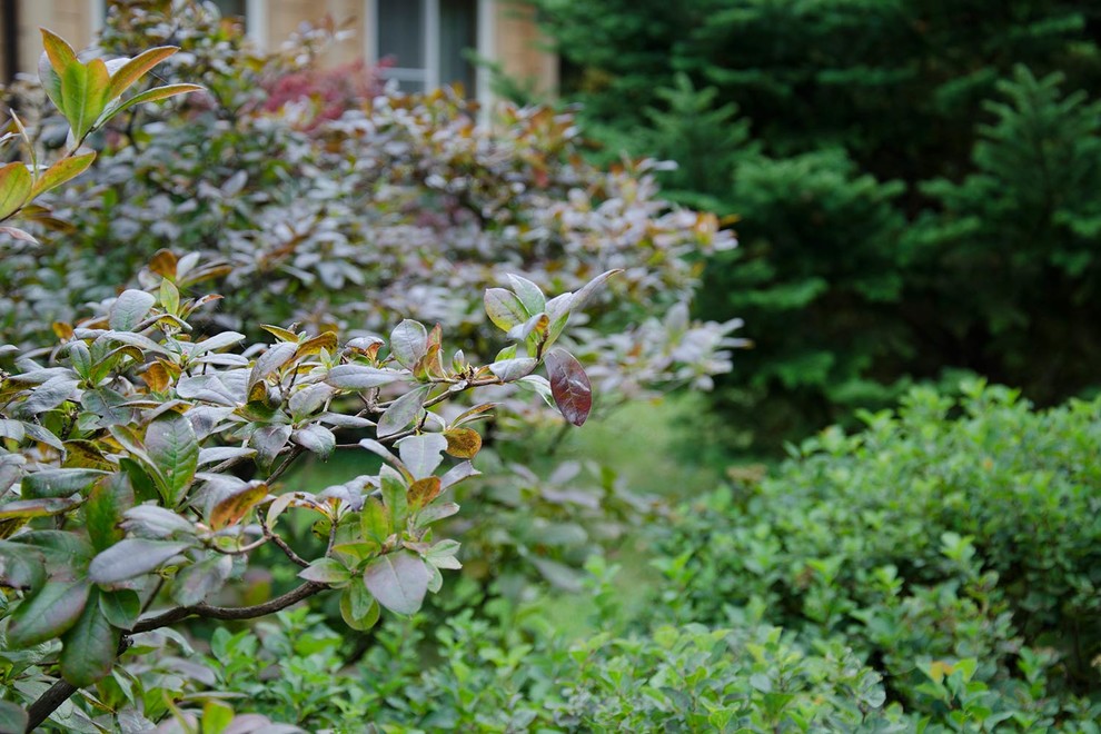 Ландшафтный сад КП "Новоглаголево", Киевское шоссе