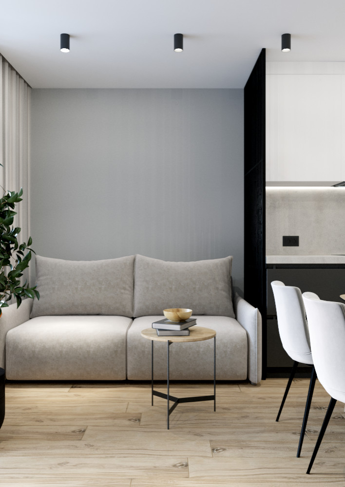 Кухня-гостиная