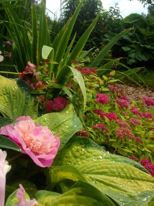 Романтический сад