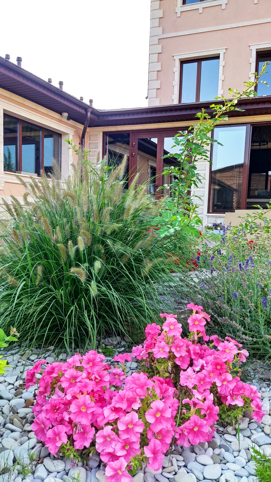 Композиции в саду