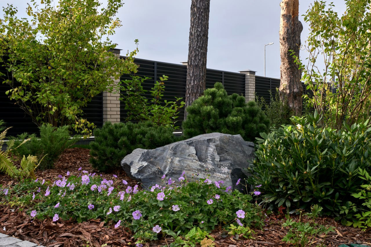 Фоновое изображение профиля ХВОЯ  ландшафт