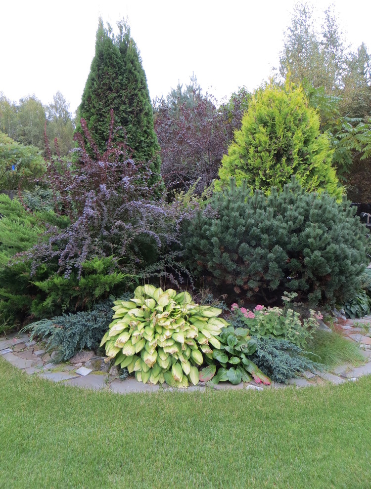 Ландшафт под Звенигородом