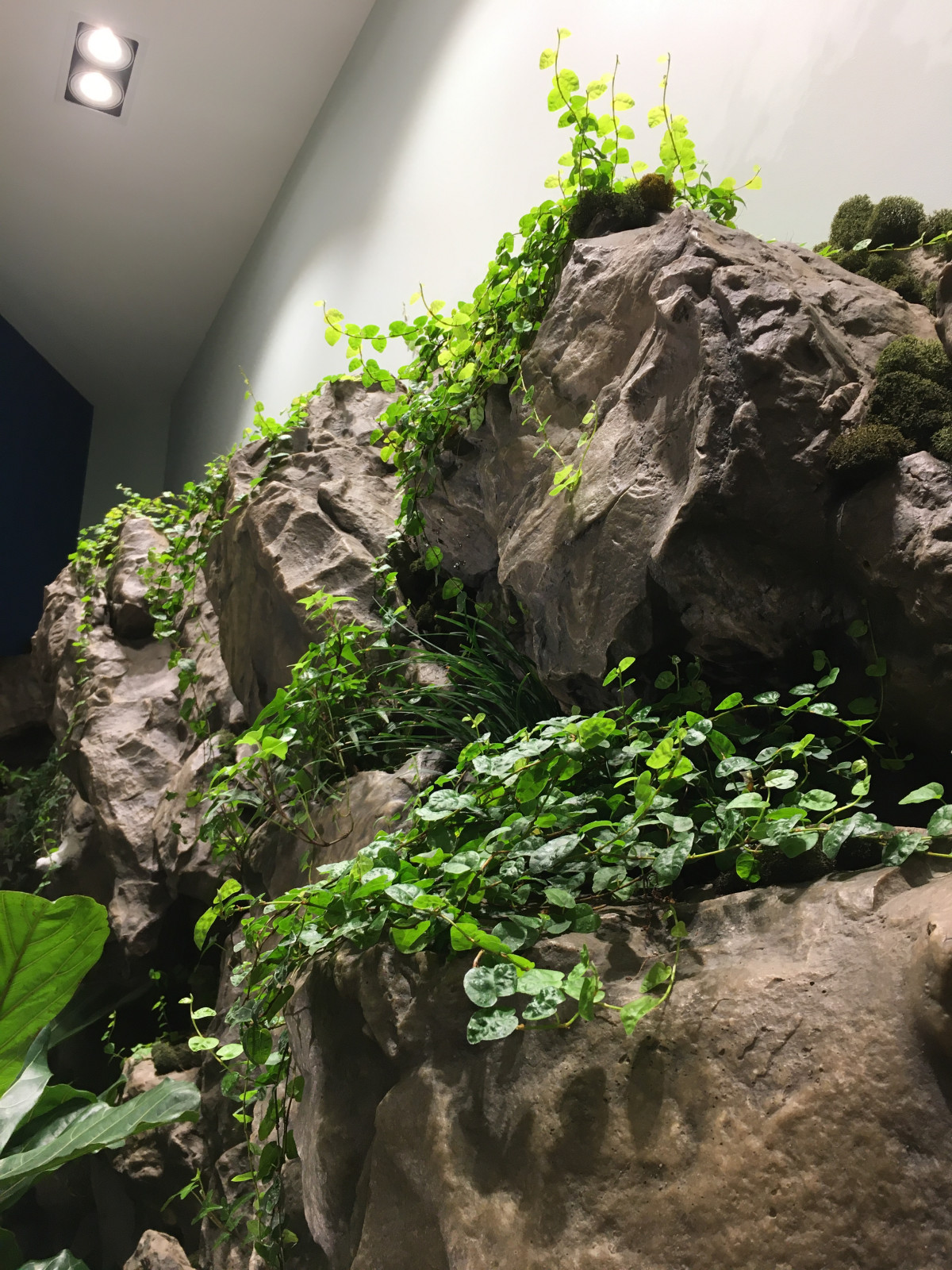 Обложка проекта: частные апартаменты