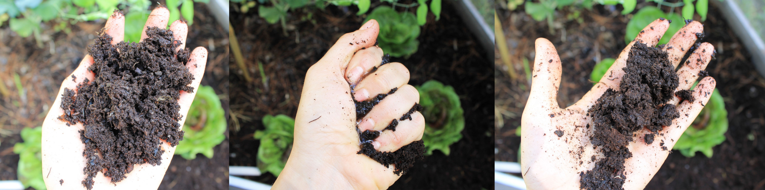 Итак, вы купили дачу... Что делать дальше?