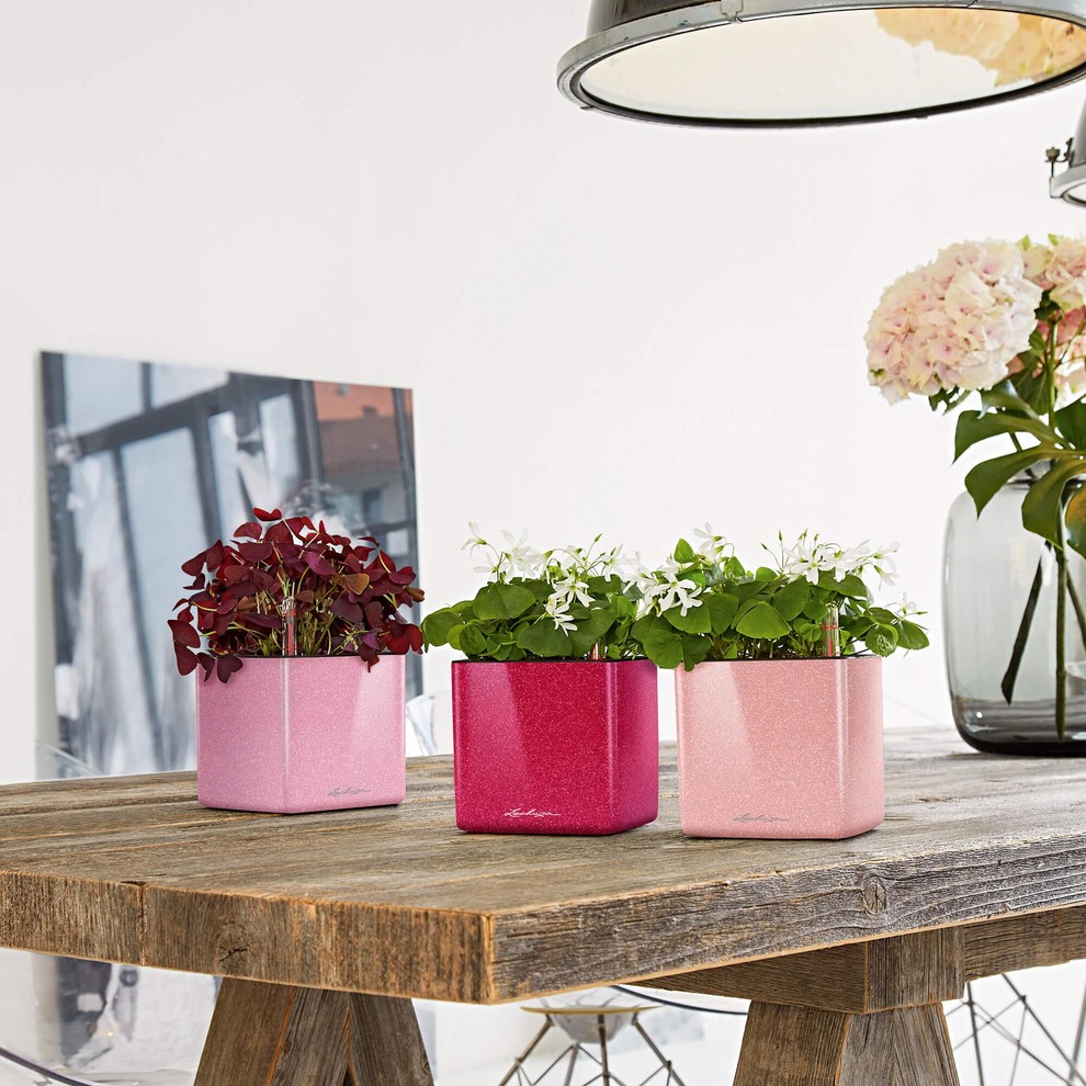 Назад в школу