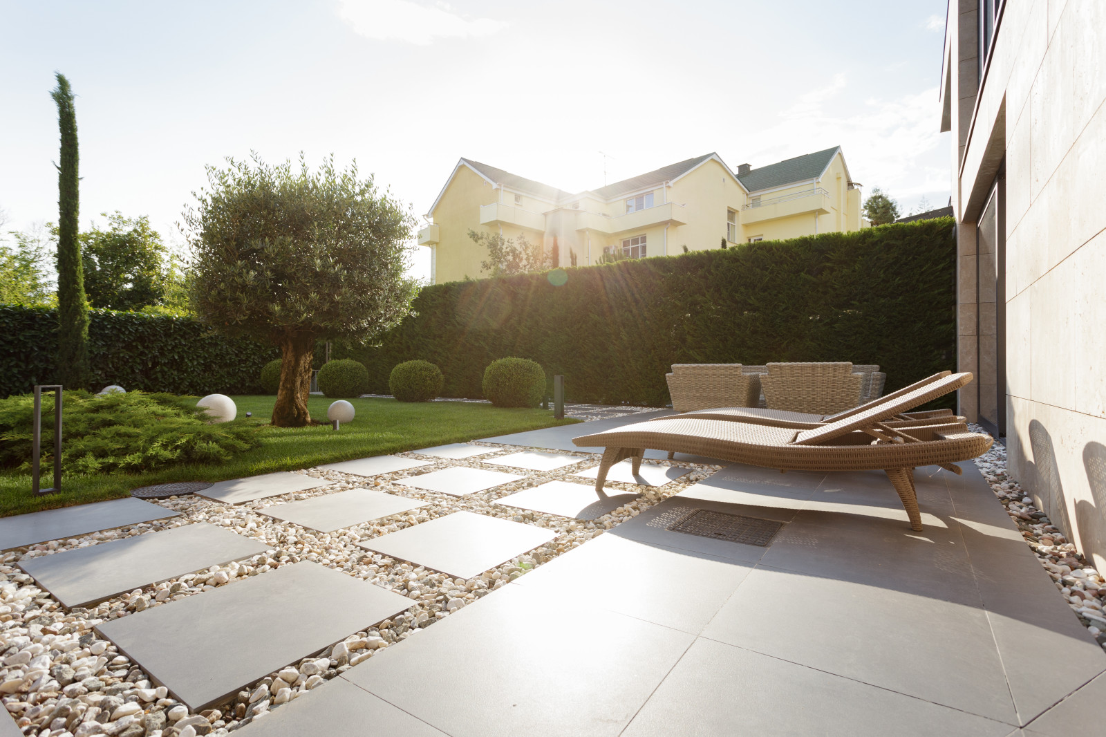 Розмарин. Ландшафтный Дизайн