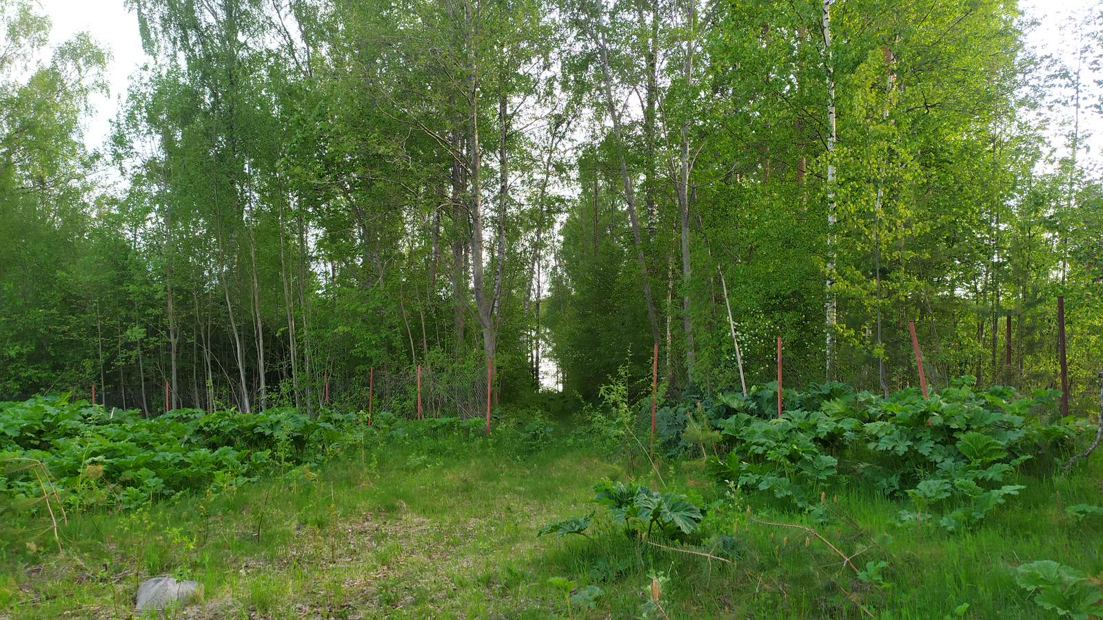 Заозерье