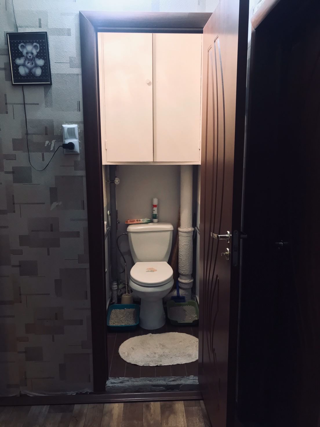 квартира , общие зоны.