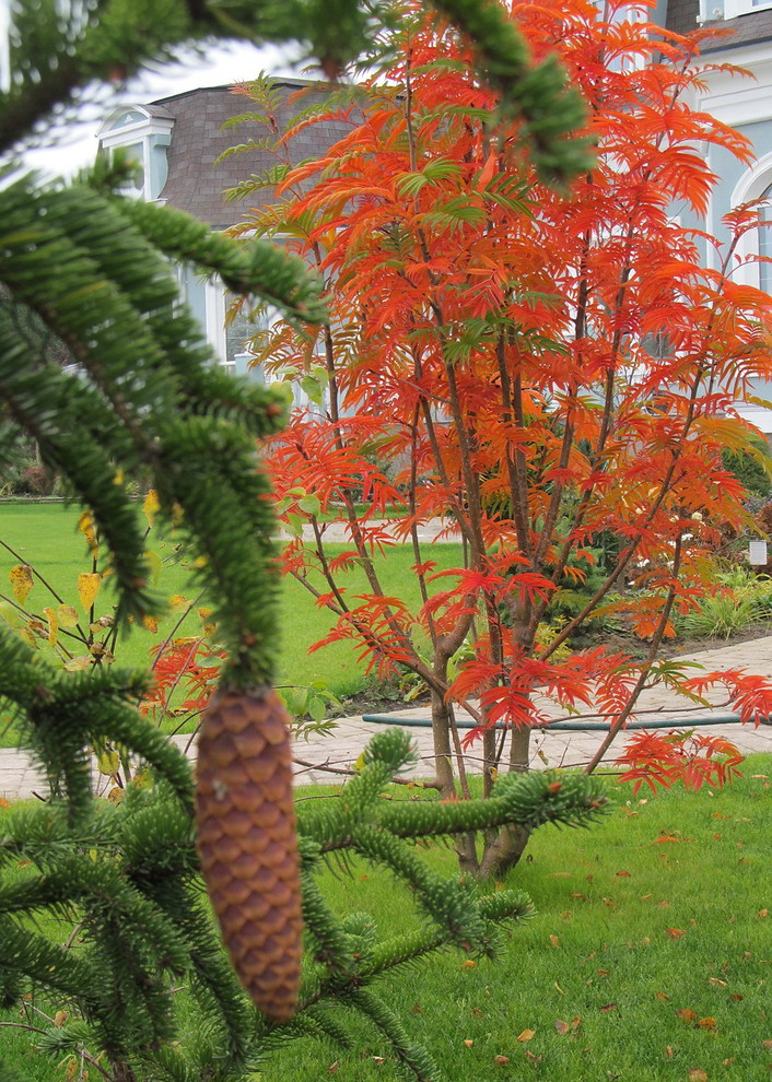 Осенняя композиция