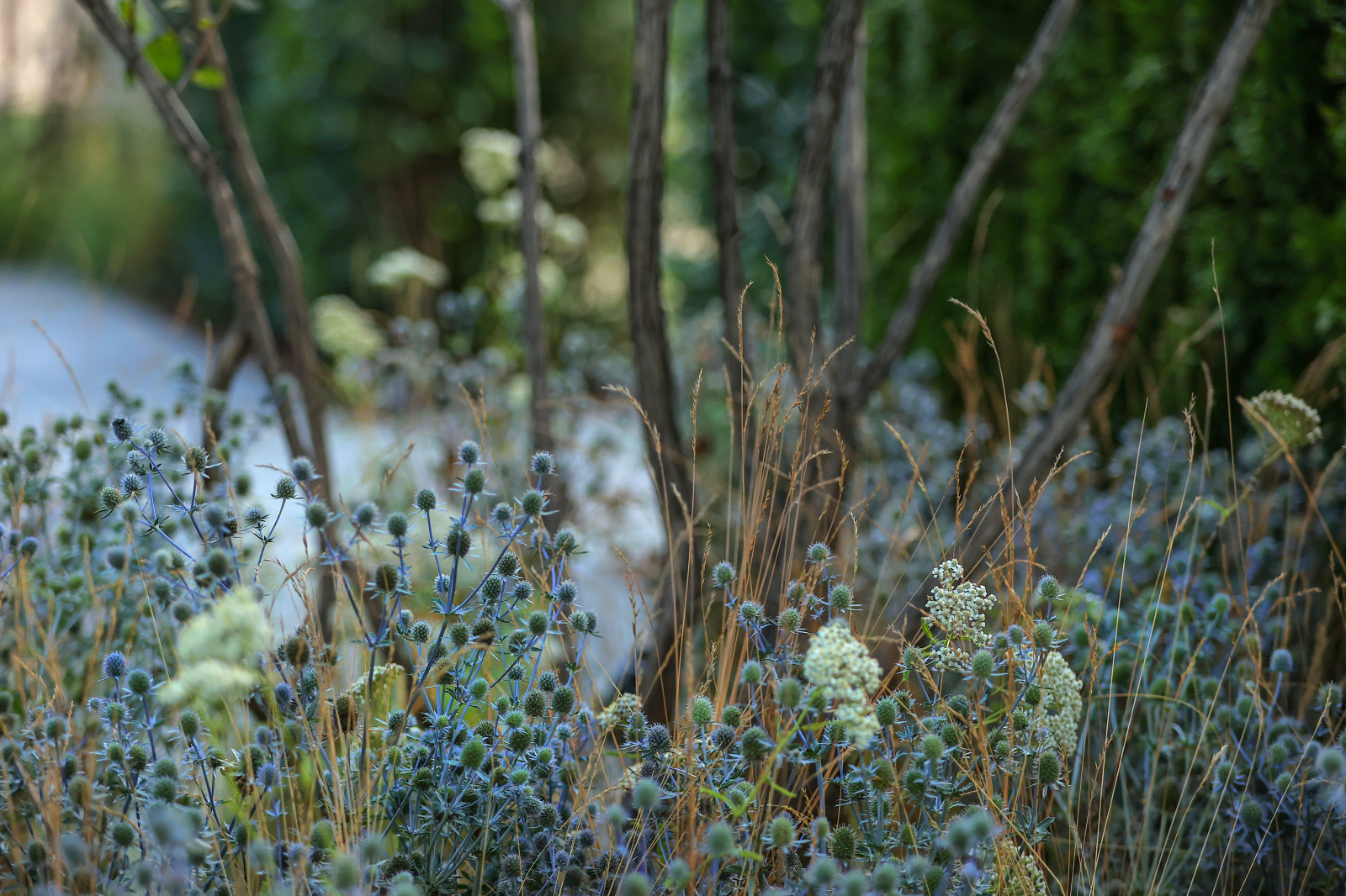 Сад "ГИПНОС" - ГРАН-ПРИ фестиваля "Сады и Люди"-2022