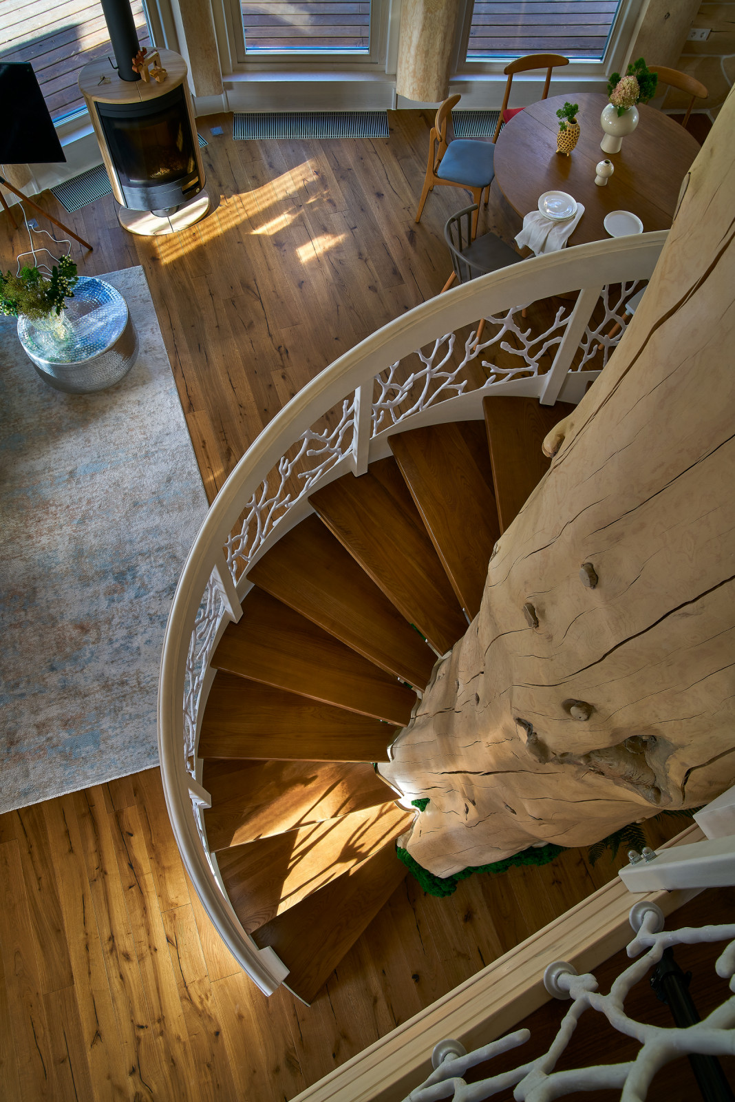 фото | Лесная сказка |