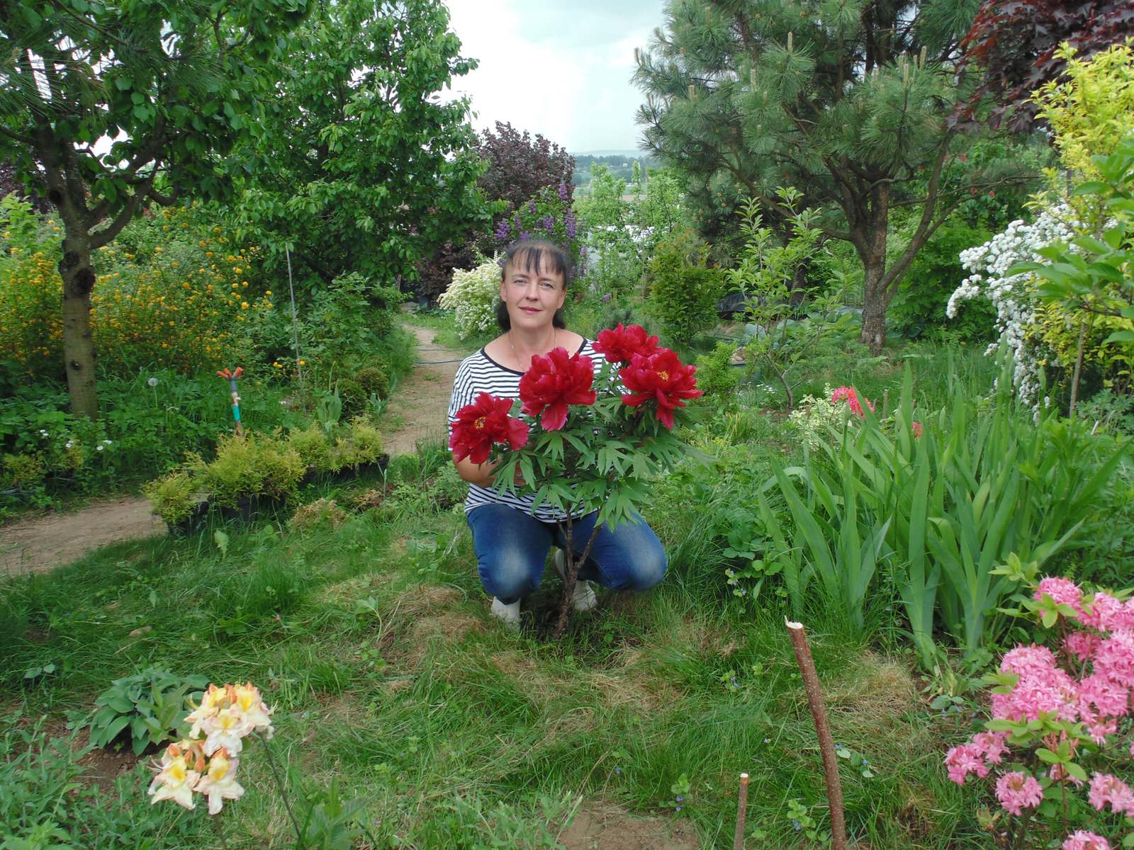 Наш собственный сад