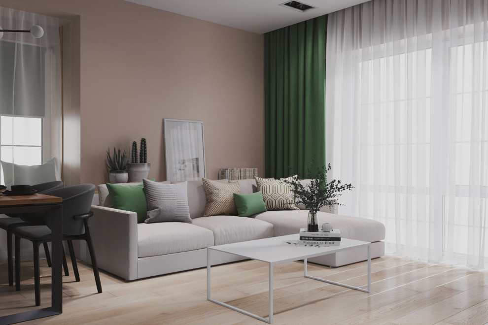 Кухня-гостиная-прихожая