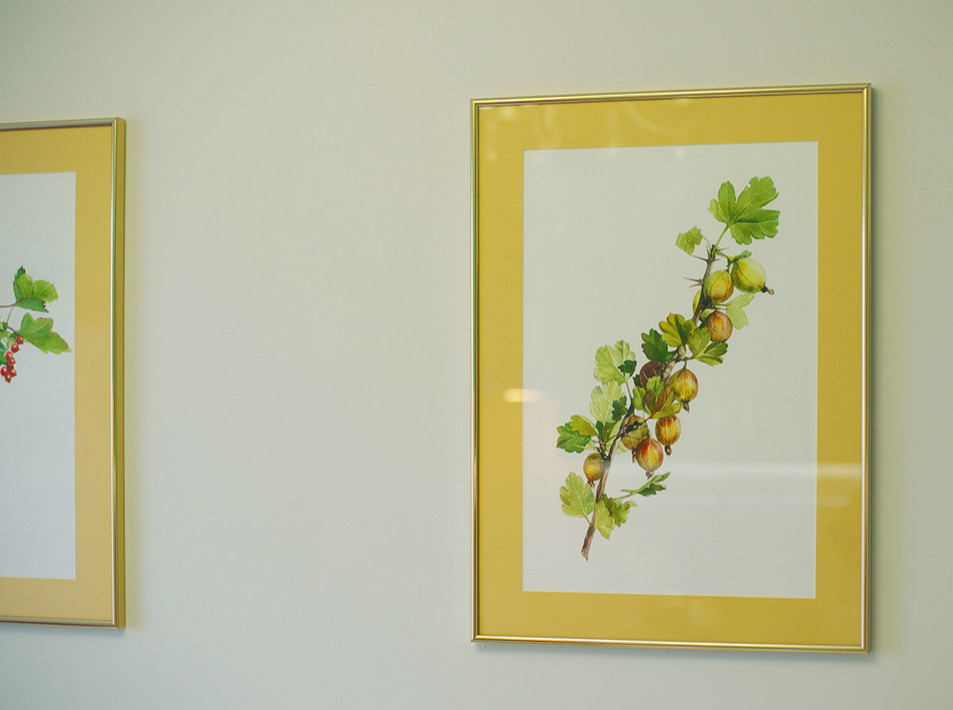 Летнее настроение