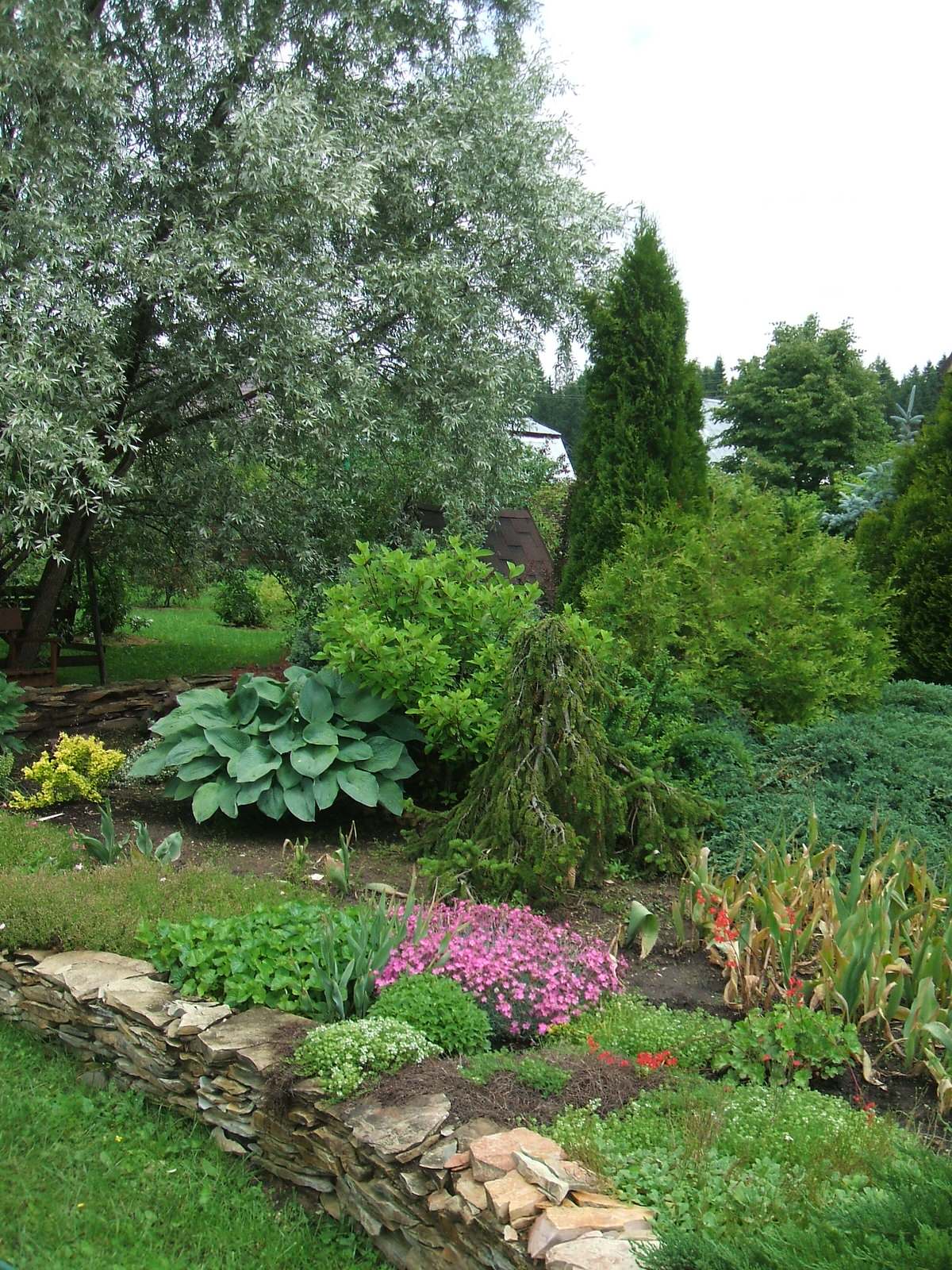 Ландшафт по Новорижскому шоссе